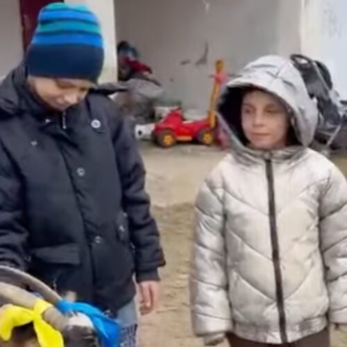 Two young boys standing with a goat.